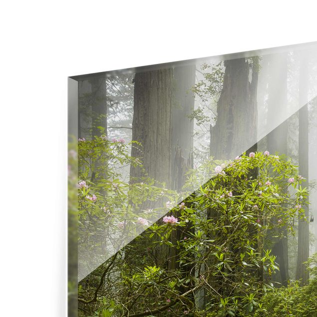 Green canvas wall art Misty Forest Path