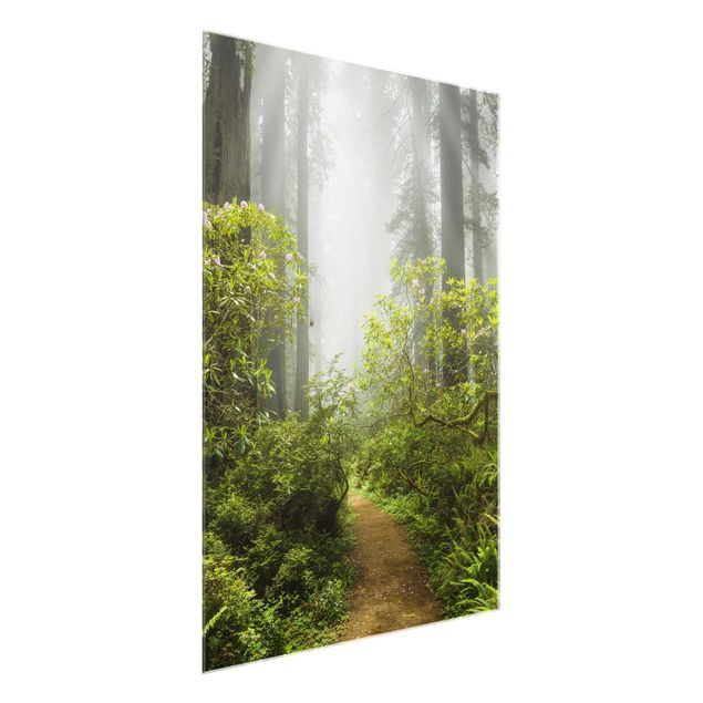 Glass prints landscape Misty Forest Path