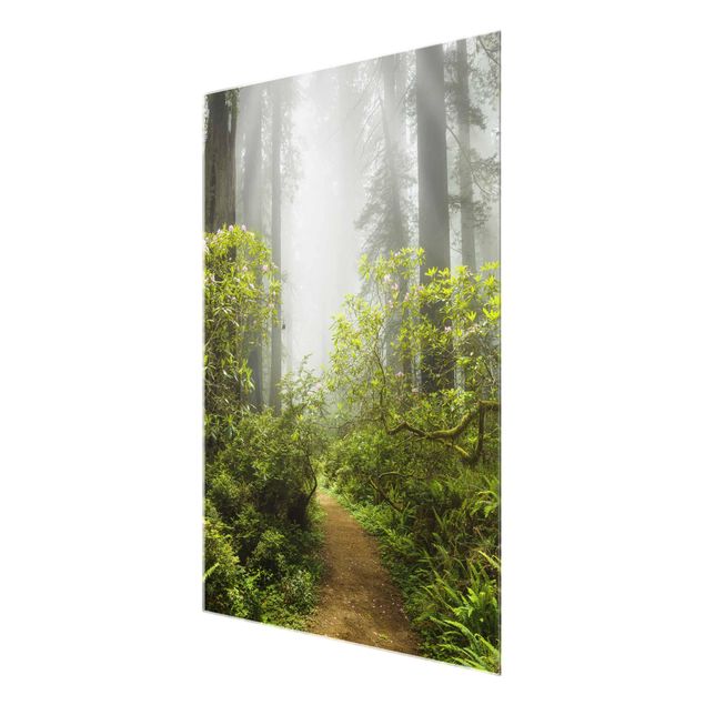 Prints nature Misty Forest Path