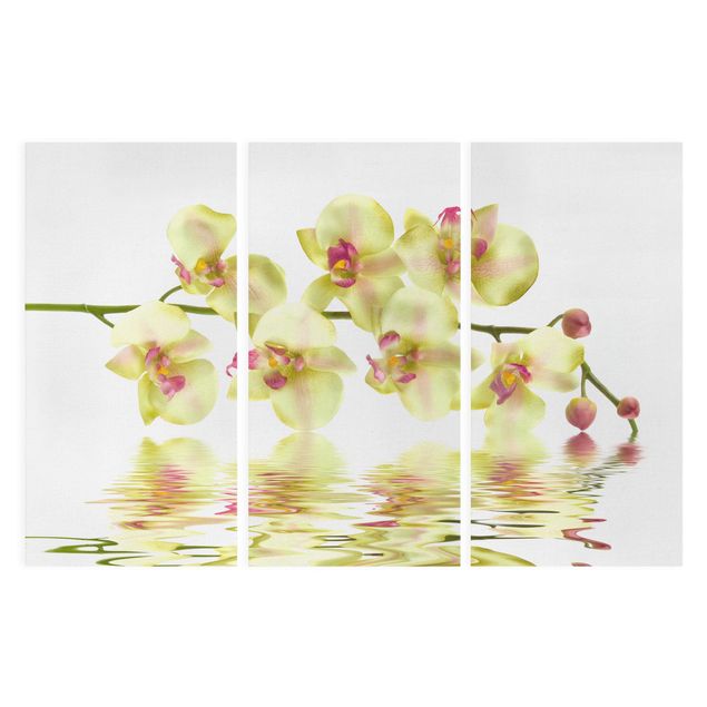 Floral prints Dreamy Orchid Waters