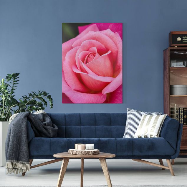 Red rose canvas Pink Rose Flowers Green Backdrop