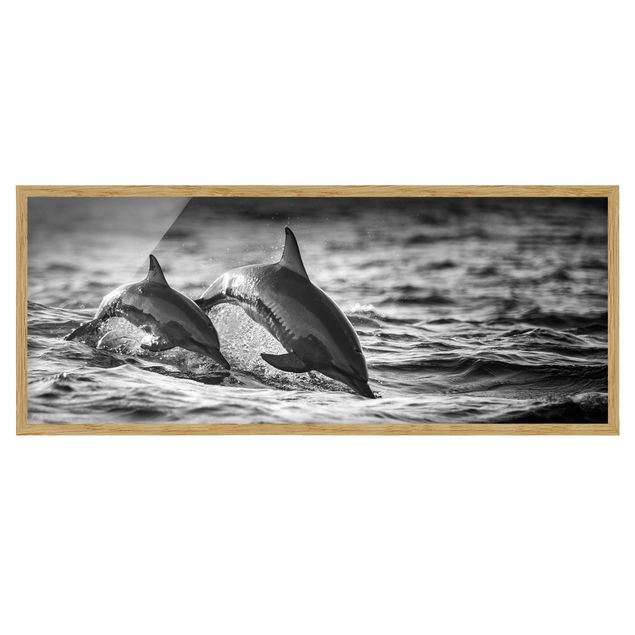 Contemporary art prints Two Jumping Dolphins