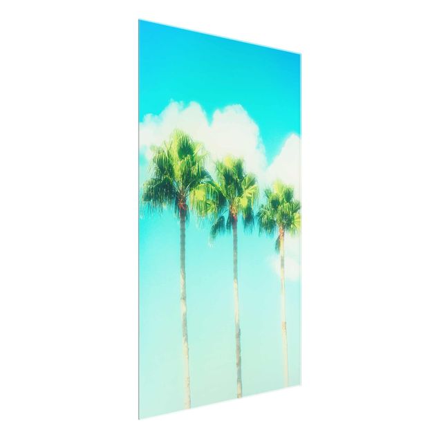 Art posters Palm Trees Against Blue Sky