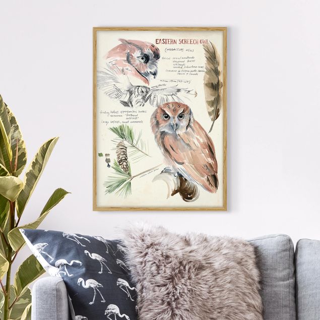 Kitchen Wilderness Journal - Owl