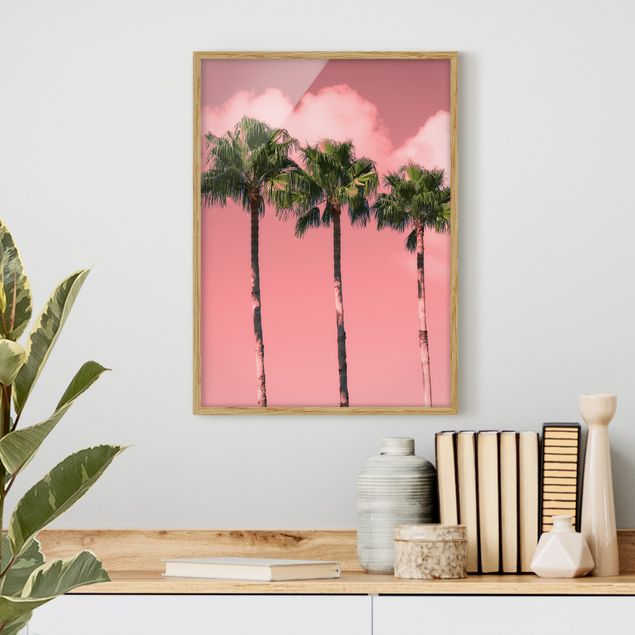 Kitchen Palm Trees Against Sky Pink