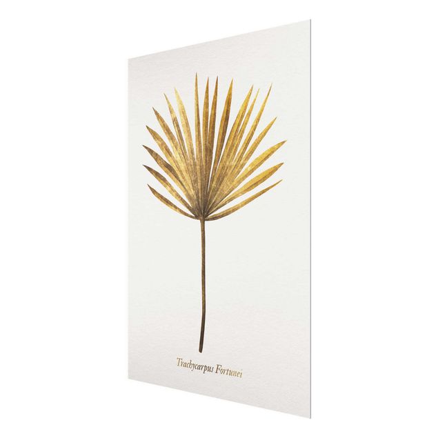 Prints Gold - Palm Leaf