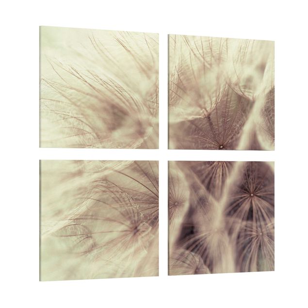 Dandelion canvas art Detailed Dandelion Macro Shot With Vintage Blur Effect
