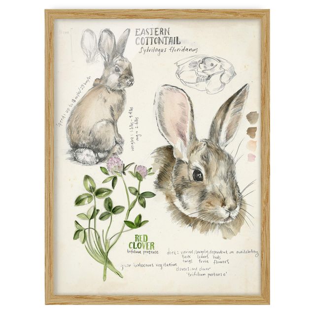 Floral canvas Wilderness Journal - Rabbit
