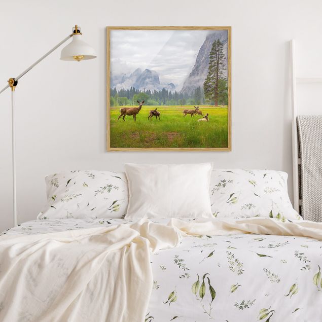 Landscape canvas prints Deer In The Mountains