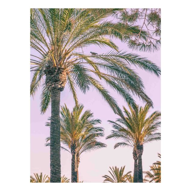 Flower print Palm Trees At Sunset