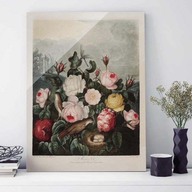 Glass prints rose Botany Vintage Illustration Of Roses