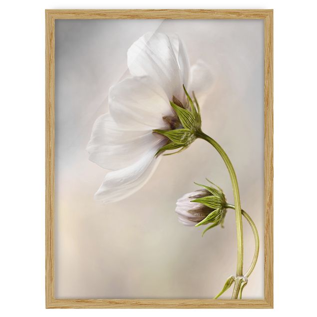 Flower pictures framed Heavenly Flower Dream