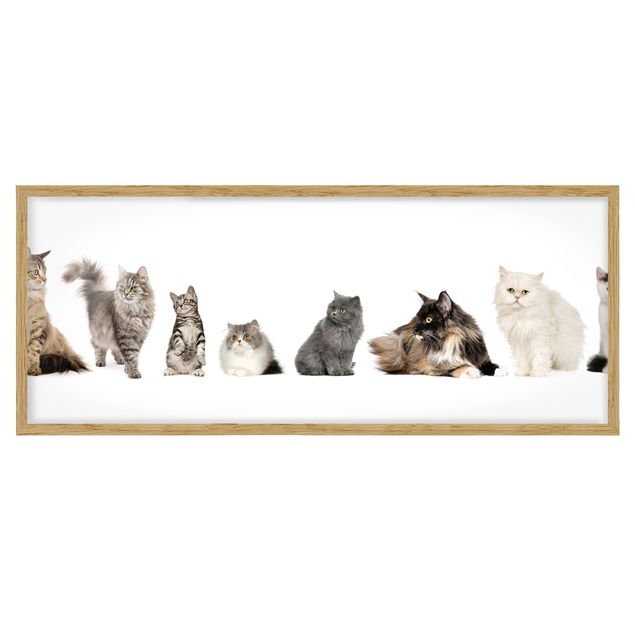 Prints modern Cat Gang