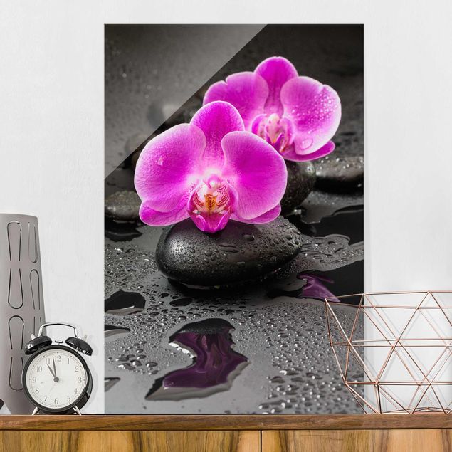 Glass prints orchid Pink Orchid Flower On Stones With Drops