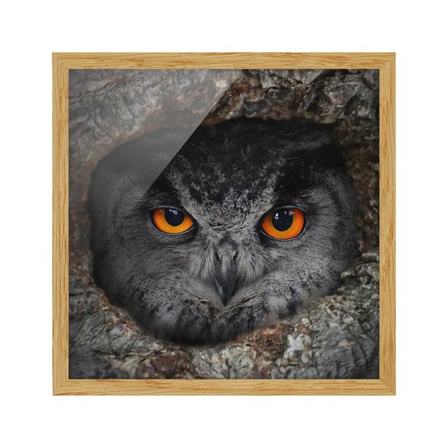 Modern art prints Watching Owl