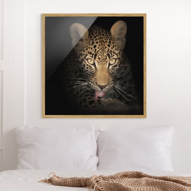 Animal wall art Resting Leopard