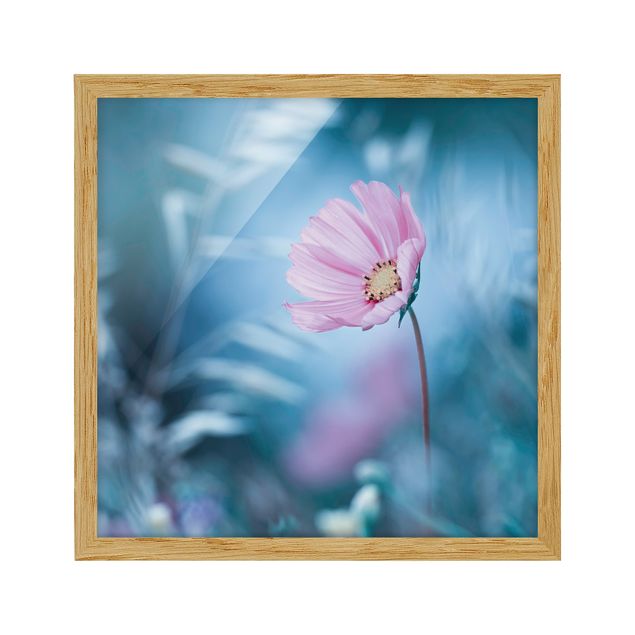 Framed floral Bloom In Pastel