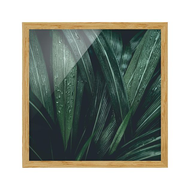 Flower pictures framed Green Palm Leaves
