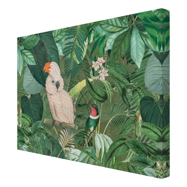 Prints green Vintage Collage - Kakadu And Hummingbird