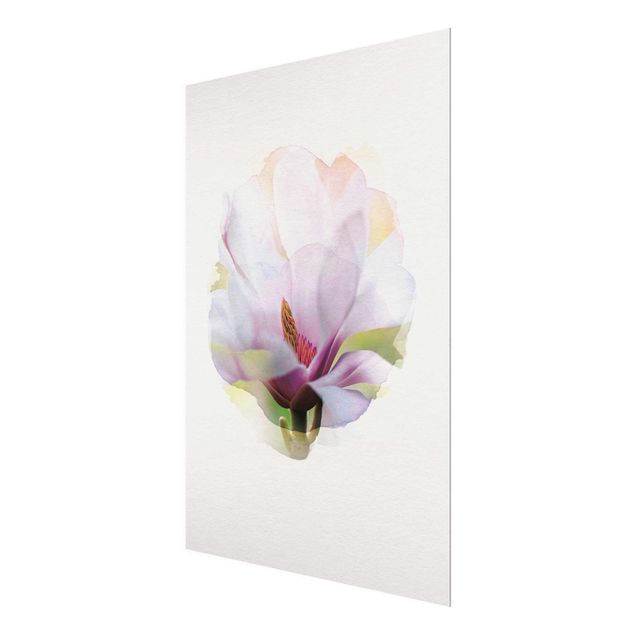 Prints WaterColours - Delicate Magnolia Blossom