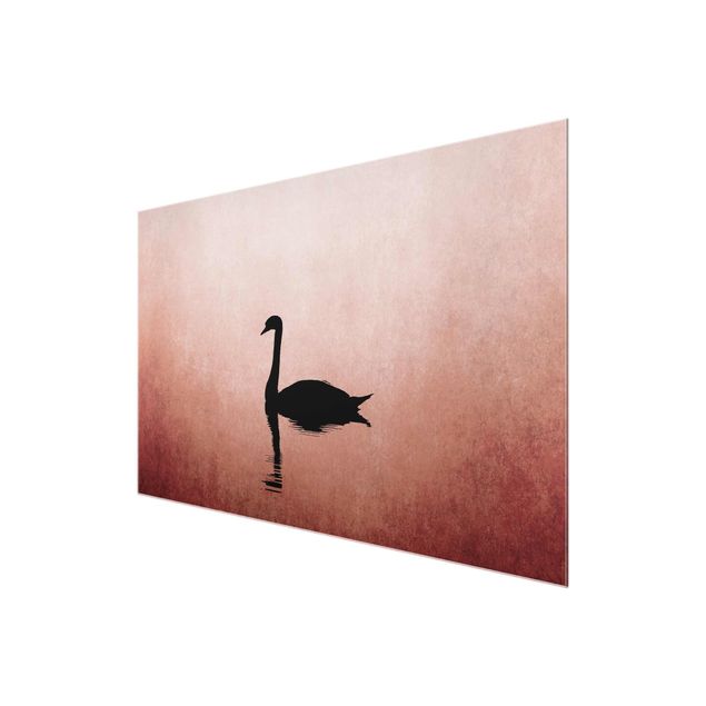 Art posters Swan In Sunset