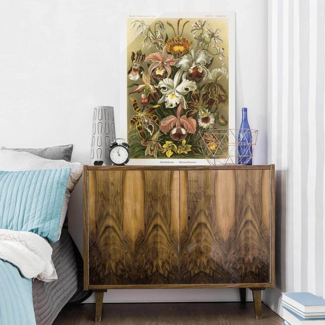 Orchid wall art Vintage Board Orchid