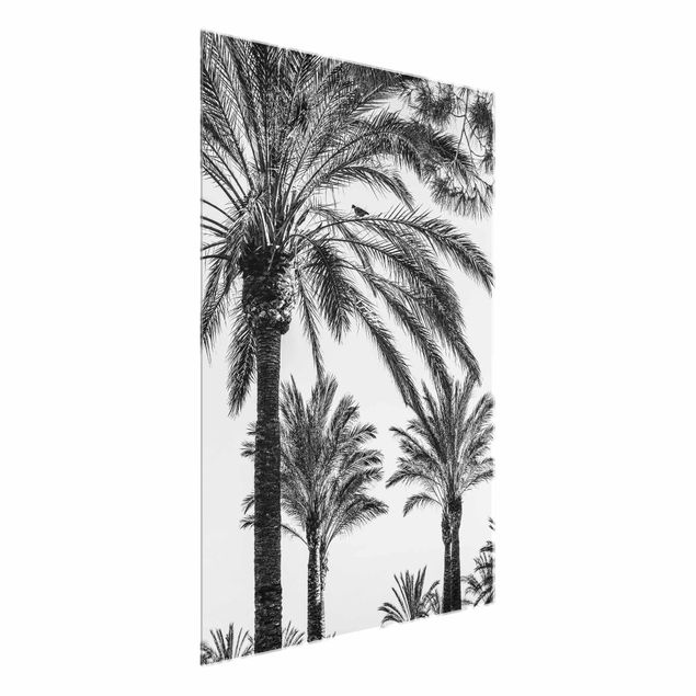 Glass prints flower Palm Trees At Sunset Black And White