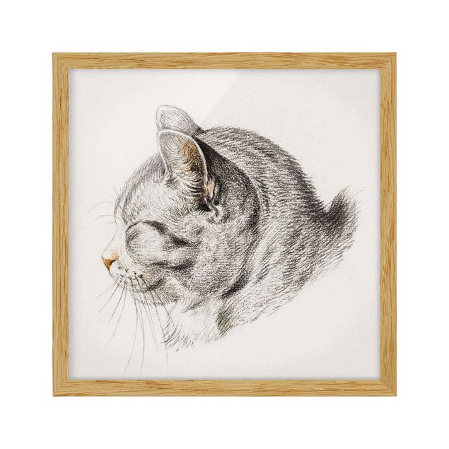 Prints animals Vintage Drawing Cat III