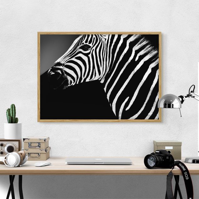 Prints animals Zebra Safari Art