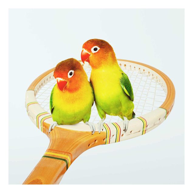 Prints animals Tennis With Birds