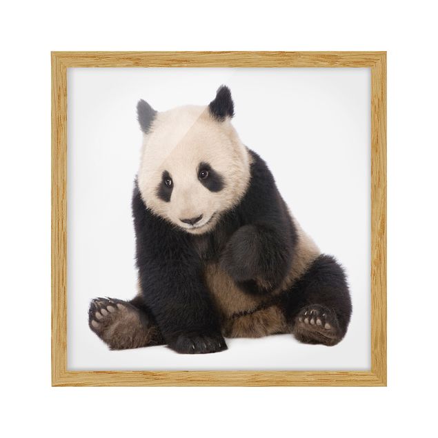 Nursery wall art Panda Paws