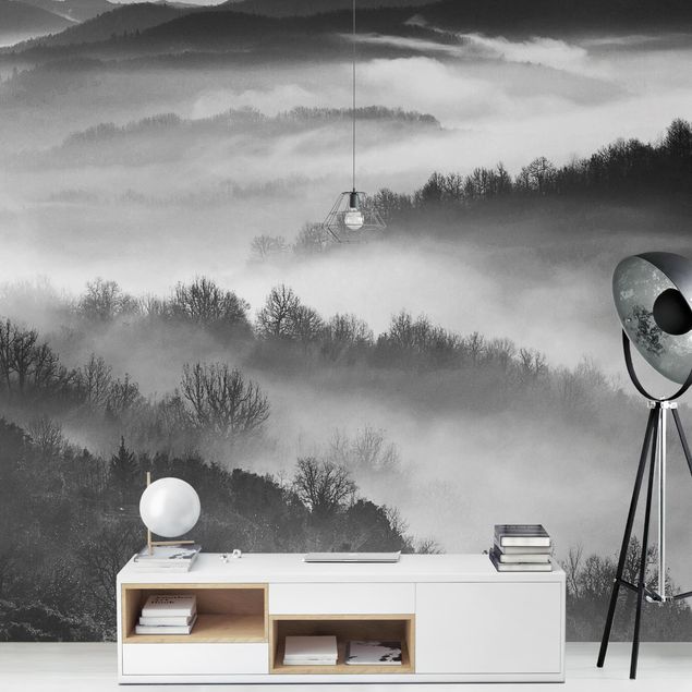 Black and white aesthetic wallpaper Fog At Sunset Black And White