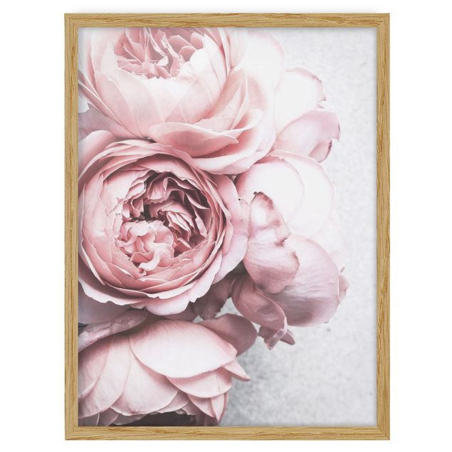Framed floral Light Pink Peony Flowers Shabby Pastel