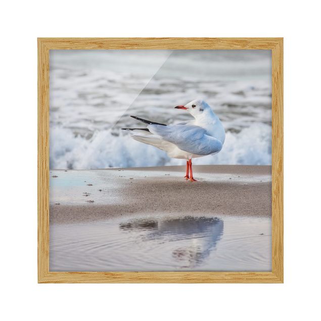 Beach prints Seagull On The Beach In Front Of The Sea
