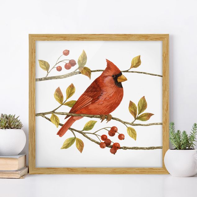 Kitchen Birds And Berries - Northern Cardinal