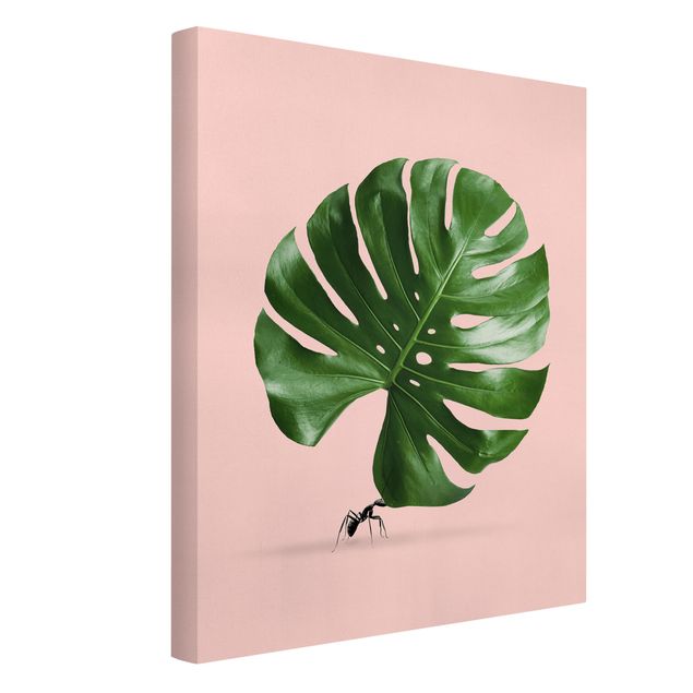 Animal wall art Ant With Monstera Leaf