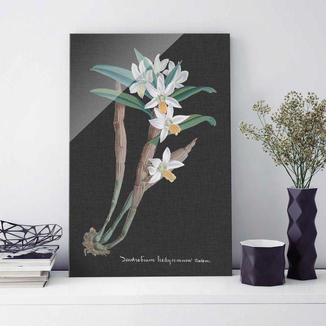 Glass prints orchid White Orchid On Linen I