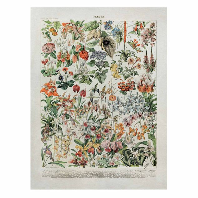 Floral picture Vintage Board Flowers III