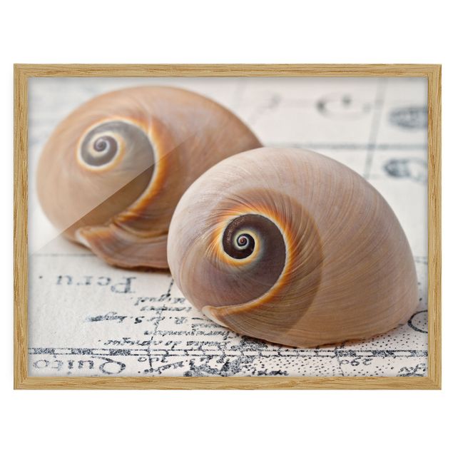 World map pictures framed Shell Duo