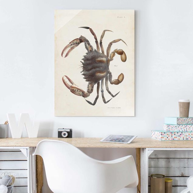 Vintage wall art Vintage Illustration Crab
