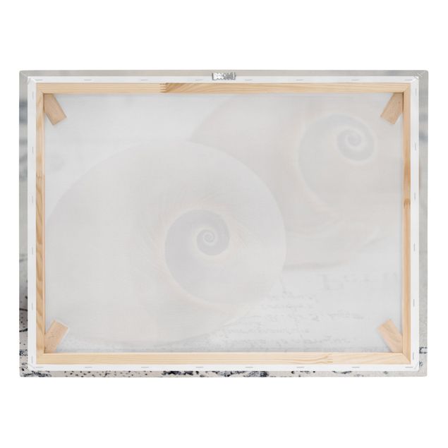 Canvas prints Shell Duo