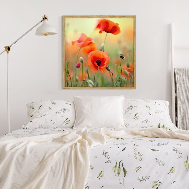 Floral canvas Red Summer Poppy
