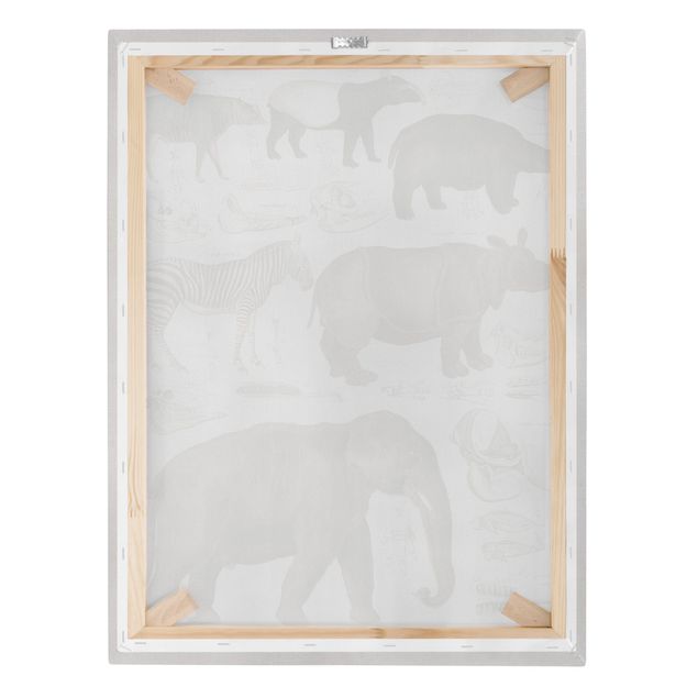 Zebra canvas print Vintage Board Elephant, Zebra And Rhino