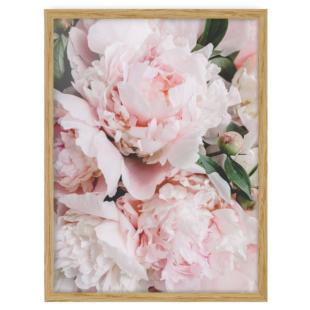 Framed floral Peonies Light Pink