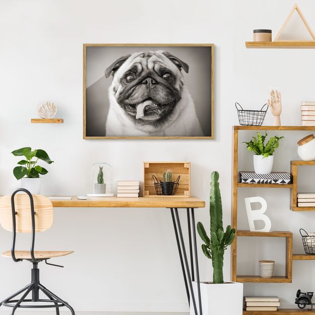 Dog canvas art Funny Pug