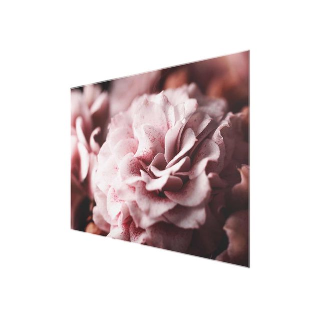 Floral picture Shabby Light Pink Rose Pastel