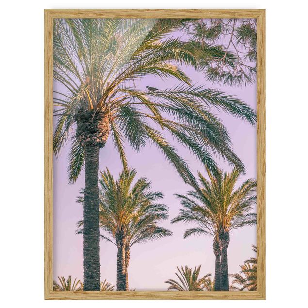 Flower print Palm Trees At Sunset