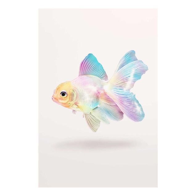 Prints animals Fish In Pastel