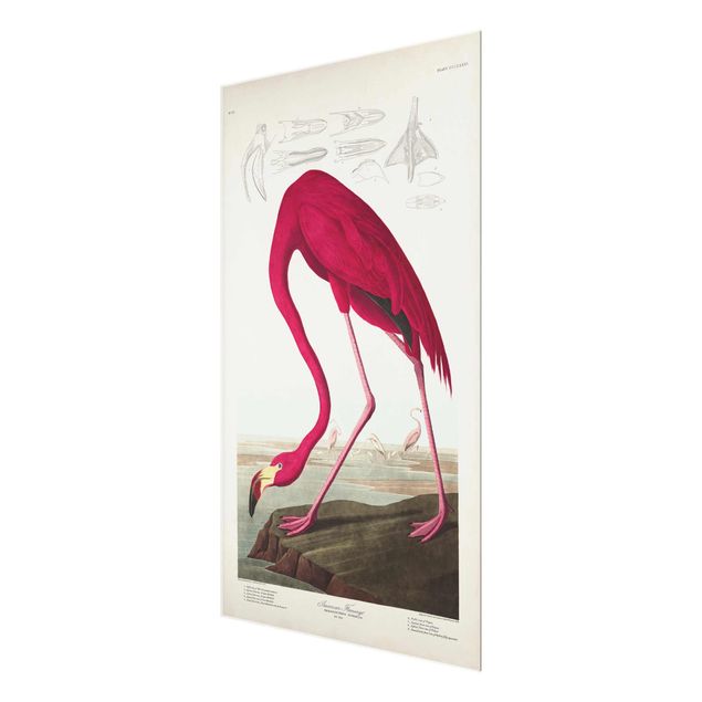 Glas Magnetboard Vintage Board American Flamingo