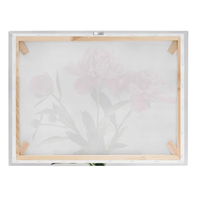 Wall art prints Pink Flowers And Buds On White